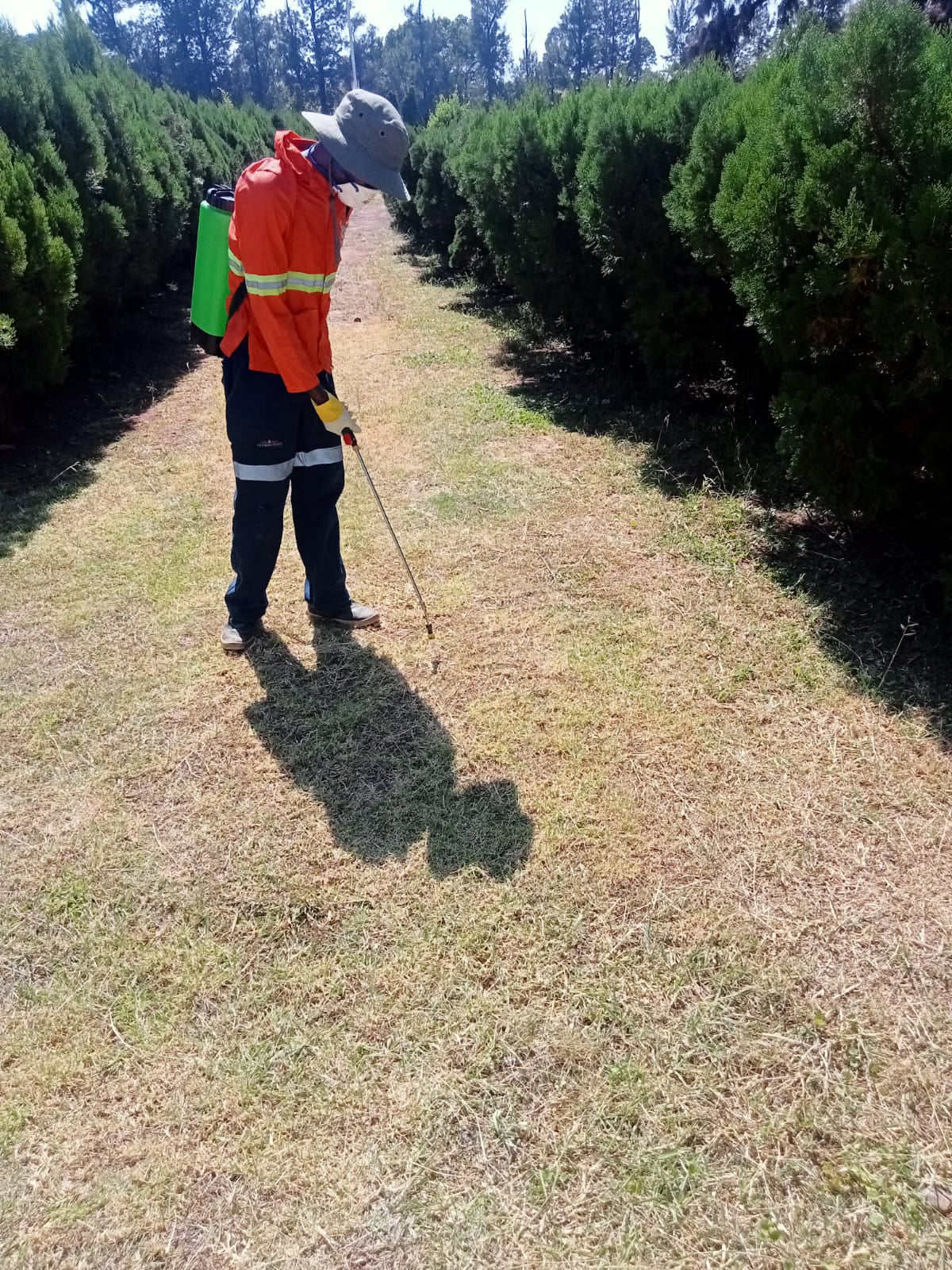 Skhona Group Facilities Management